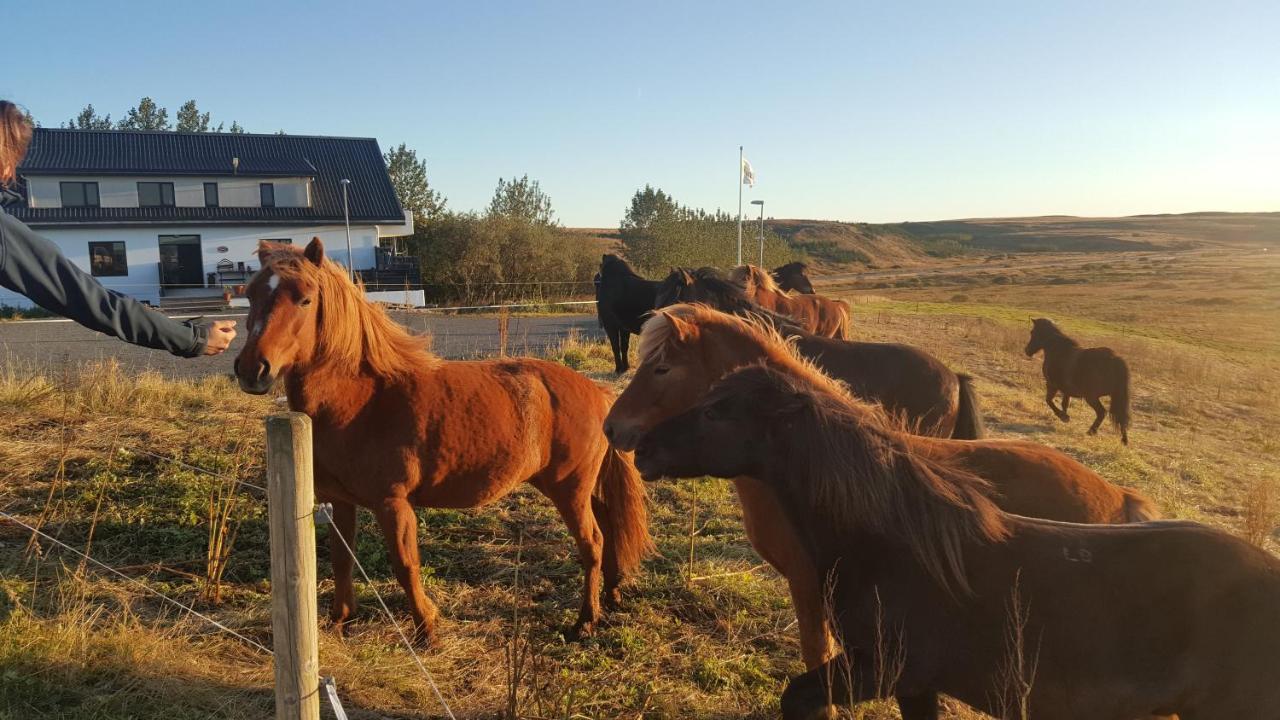 Guesthouse Bitra B&B Selfoss Eksteriør billede