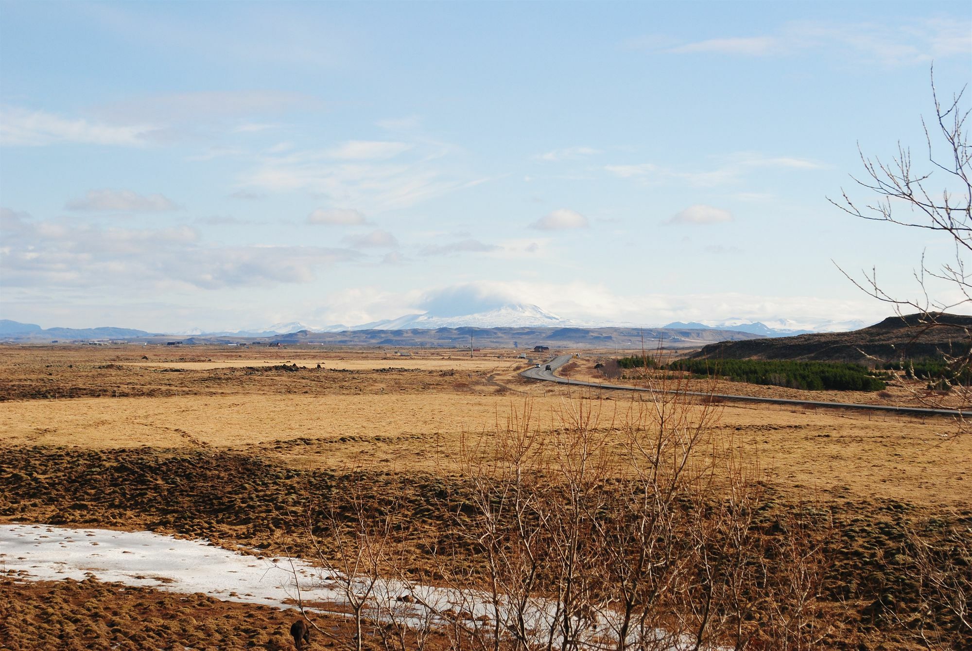 Guesthouse Bitra B&B Selfoss Eksteriør billede