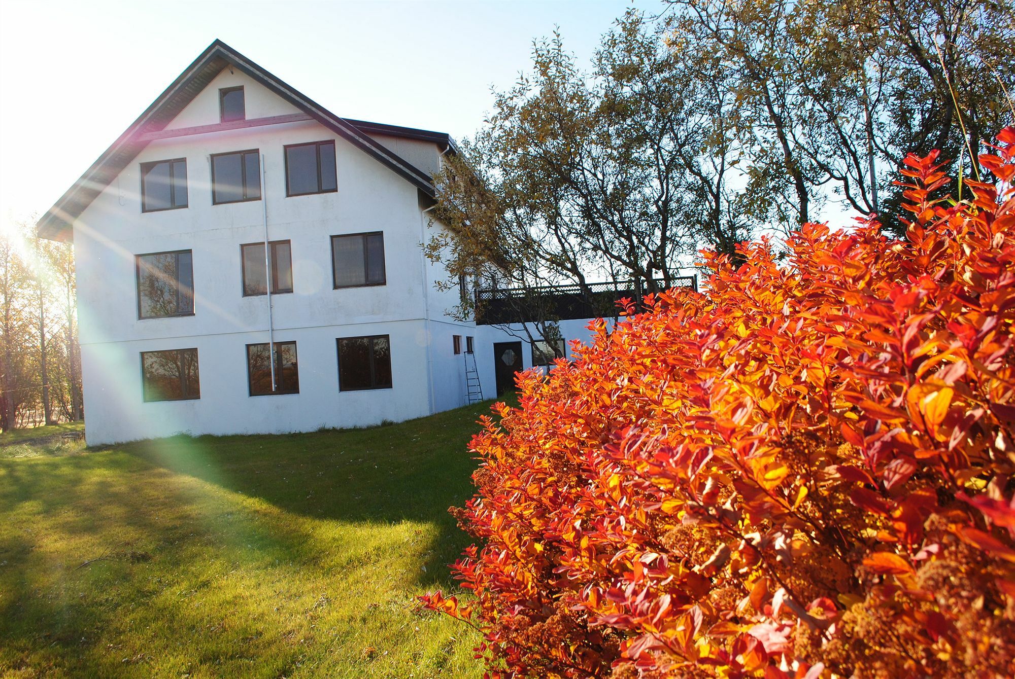 Guesthouse Bitra B&B Selfoss Eksteriør billede